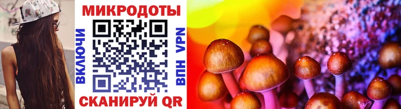 Псилоцибиновые грибы ЛСД  купить закладку  Похвистнево 