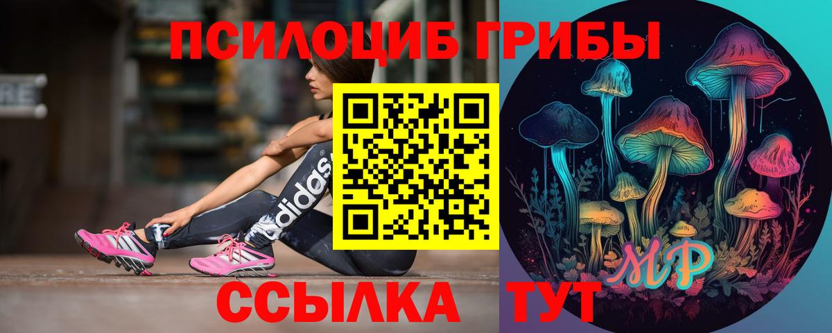 Похвистнево  Псилоцибиновые грибы MAGIC MUSHROOMS  Вход с VPN 